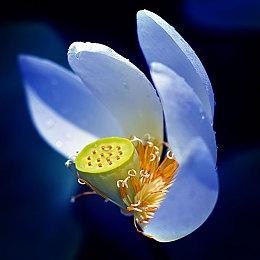 微软游戏CEO Phil Spencer已经57岁了